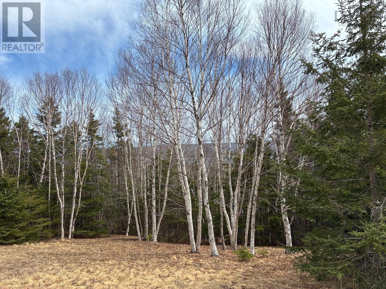 Eskasoni Road Property Photo 10