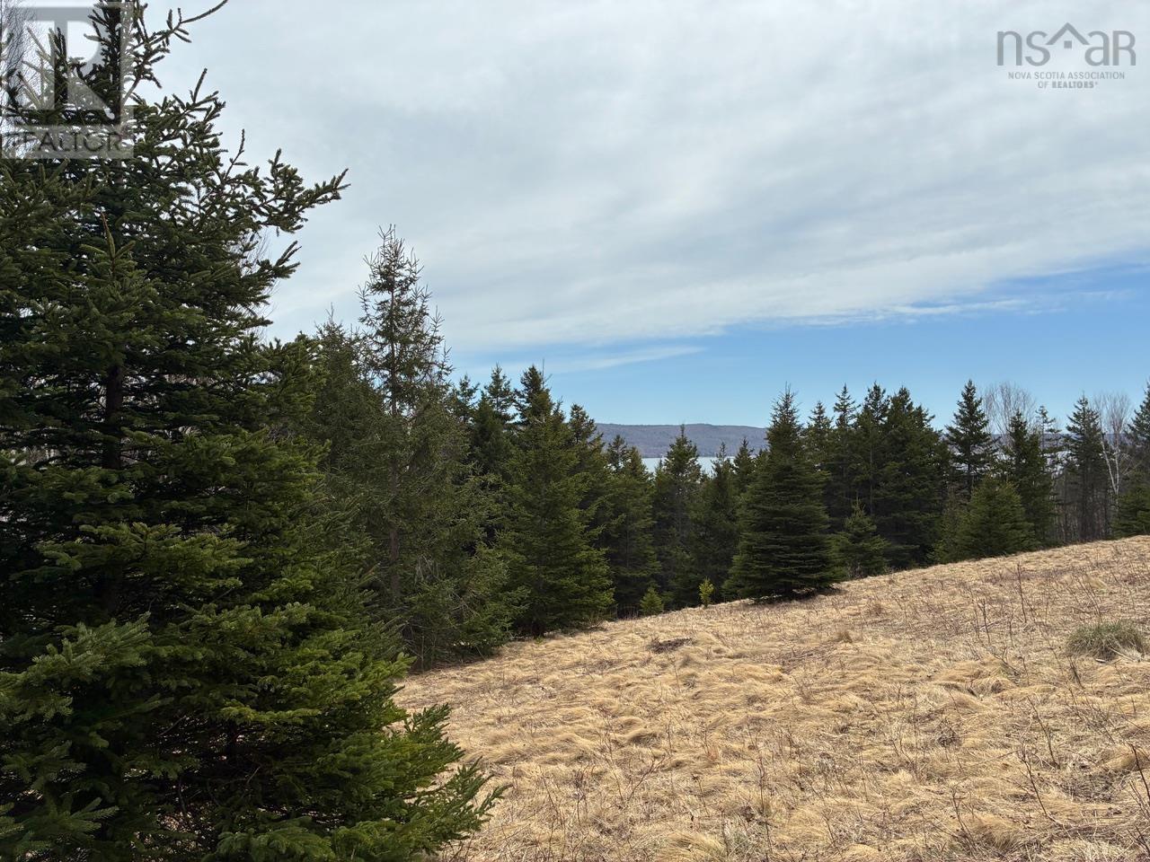 Eskasoni Road Property Photo 11
