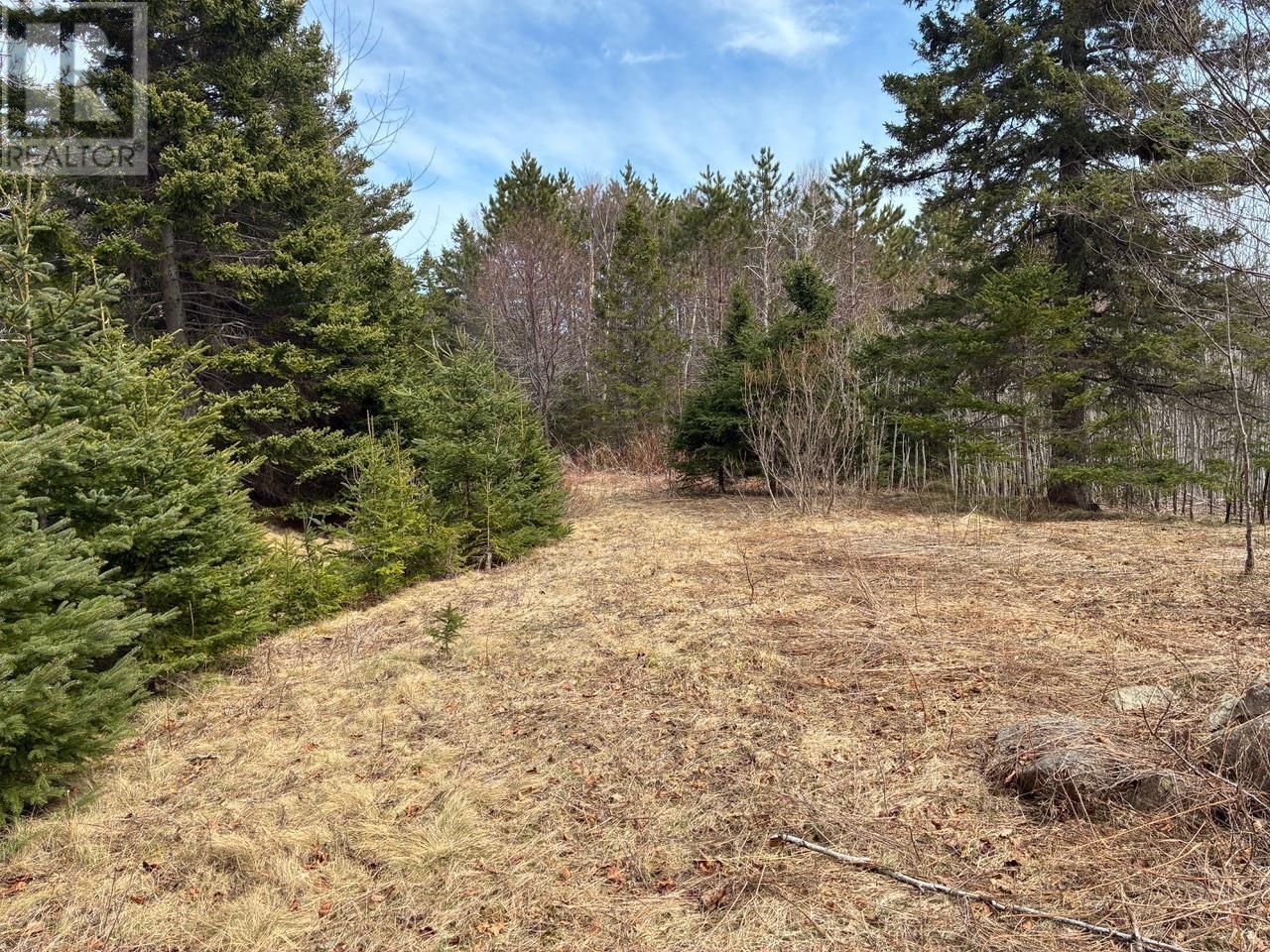 Eskasoni Road Property Photo 12