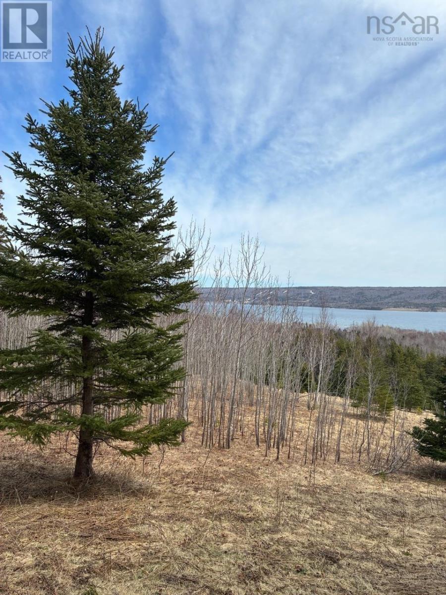 Eskasoni Road Property Photo 13