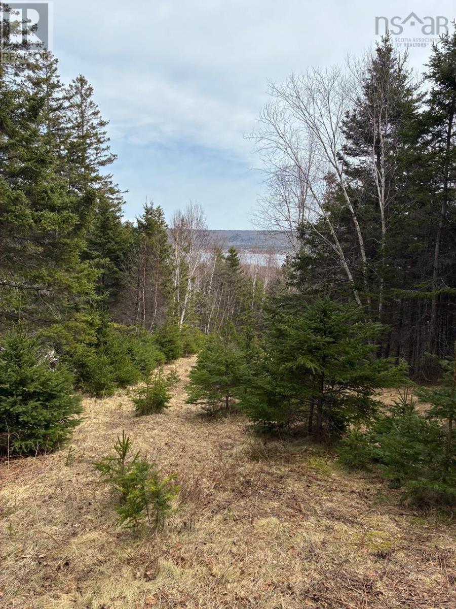 Eskasoni Road Property Photo 16