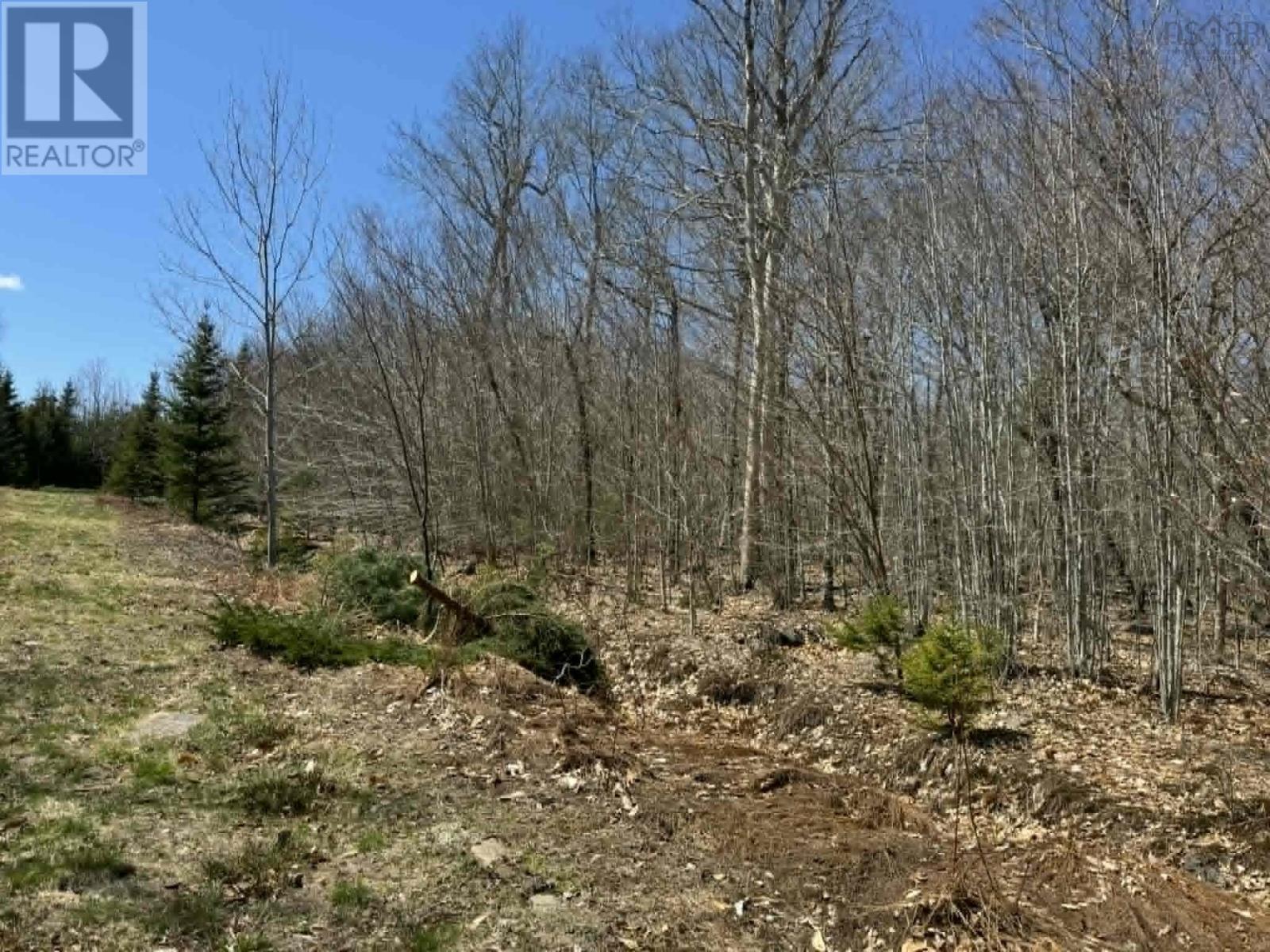 Lot R-10 Kill Dog Cove Road Property Photo 1