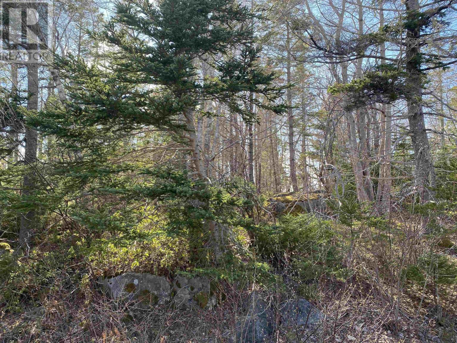 Lot 10 Eastern Shore Road Property Photo 4
