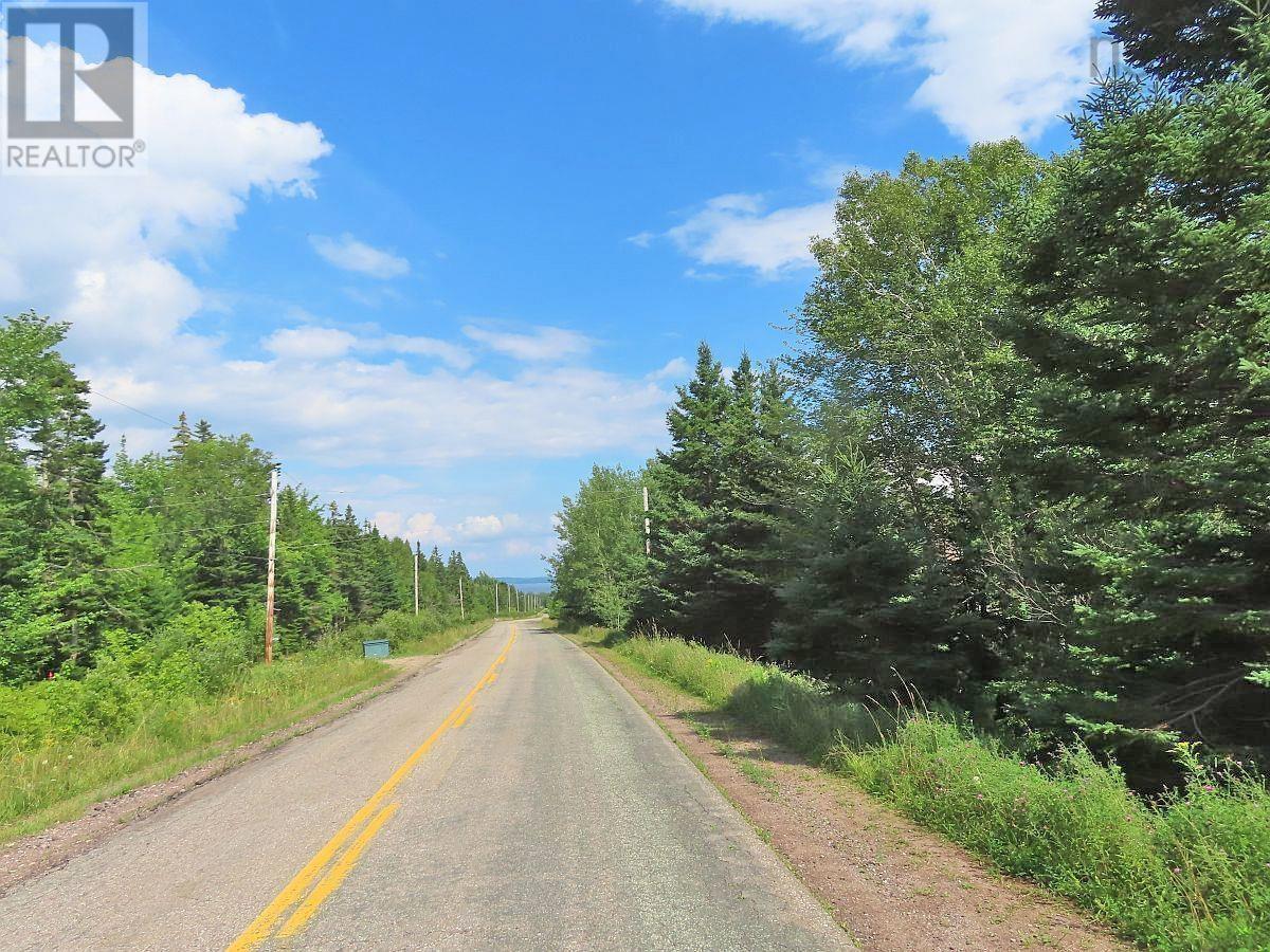 46 Acres Washabuck Road Property Photo 1