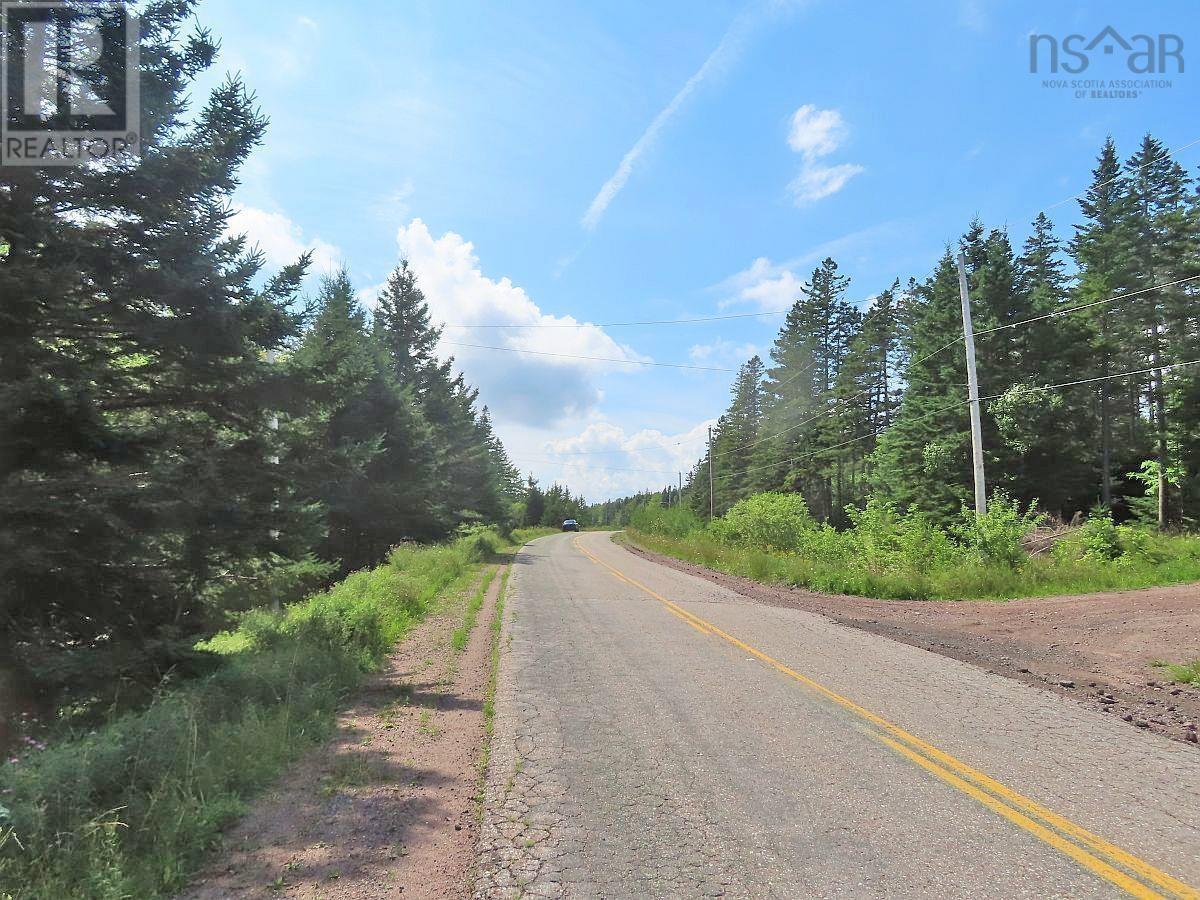 46 Acres Washabuck Road Property Photo 2