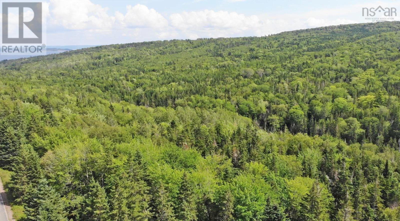 46 Acres Washabuck Road Property Photo 4