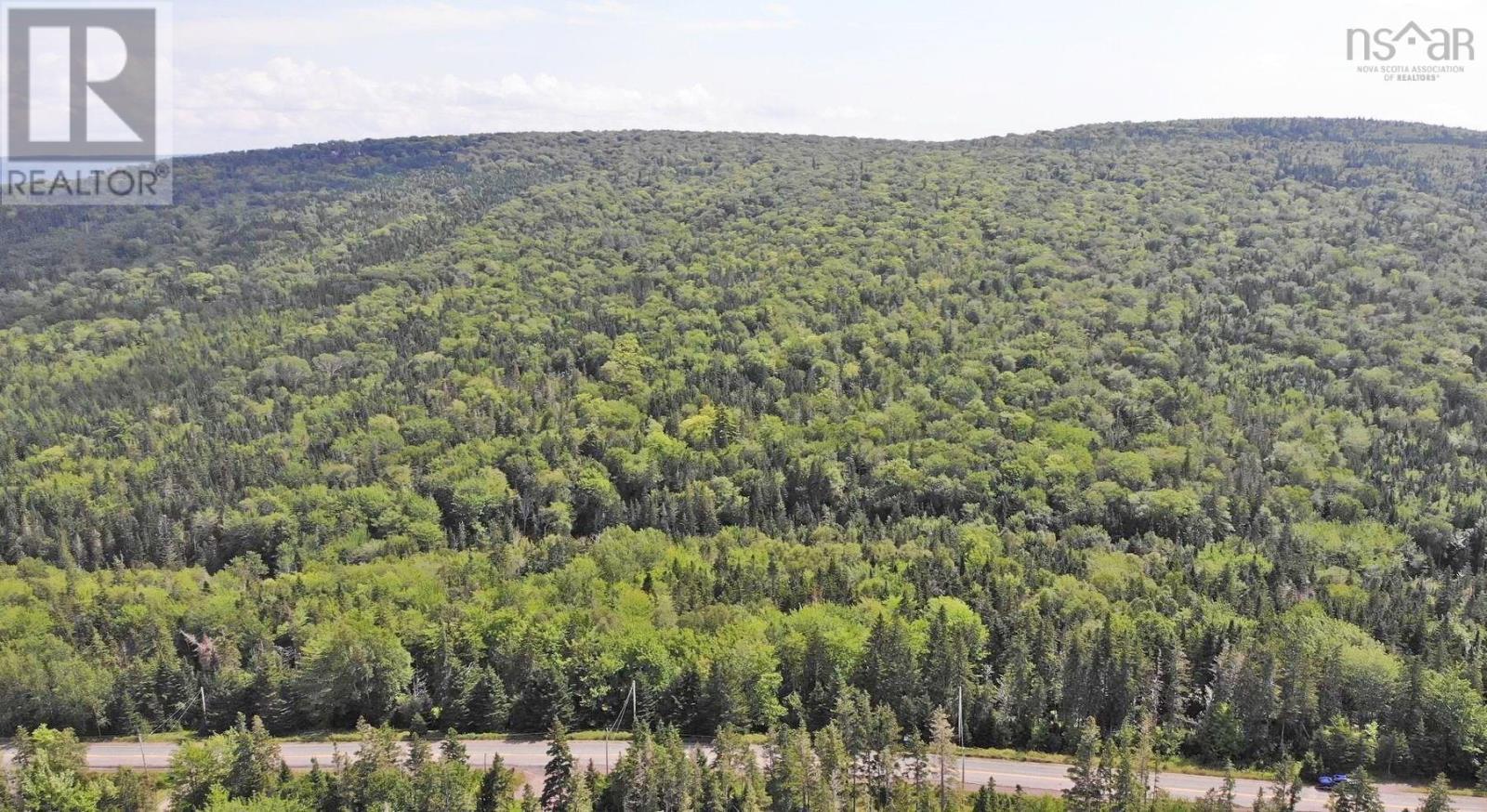 46 Acres Washabuck Road Property Photo 5