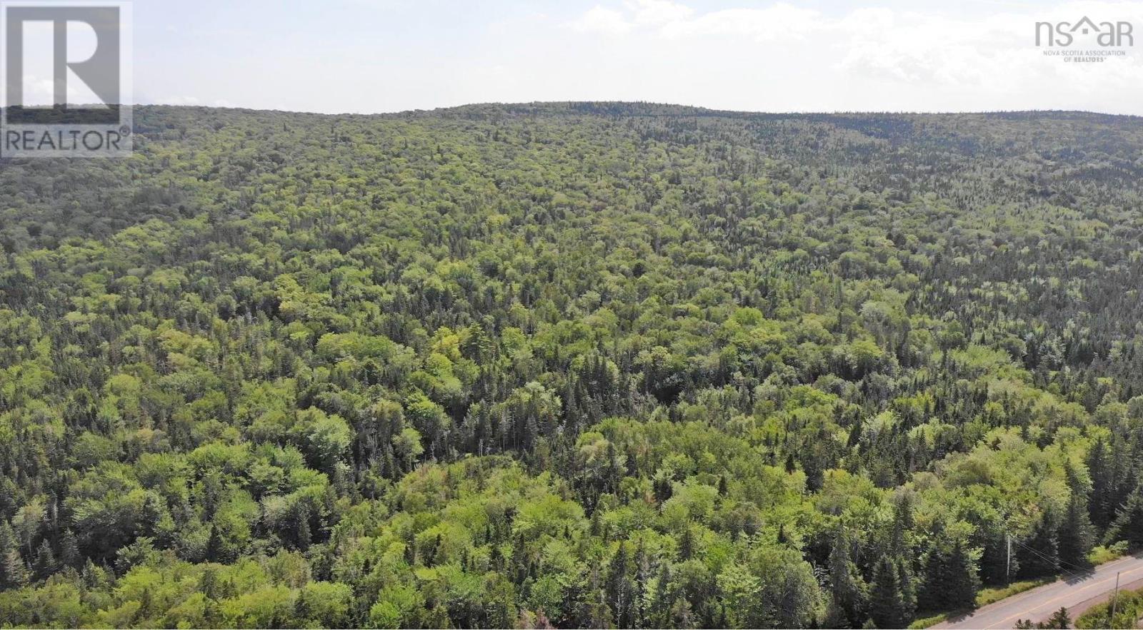 46 Acres Washabuck Road Property Photo 6