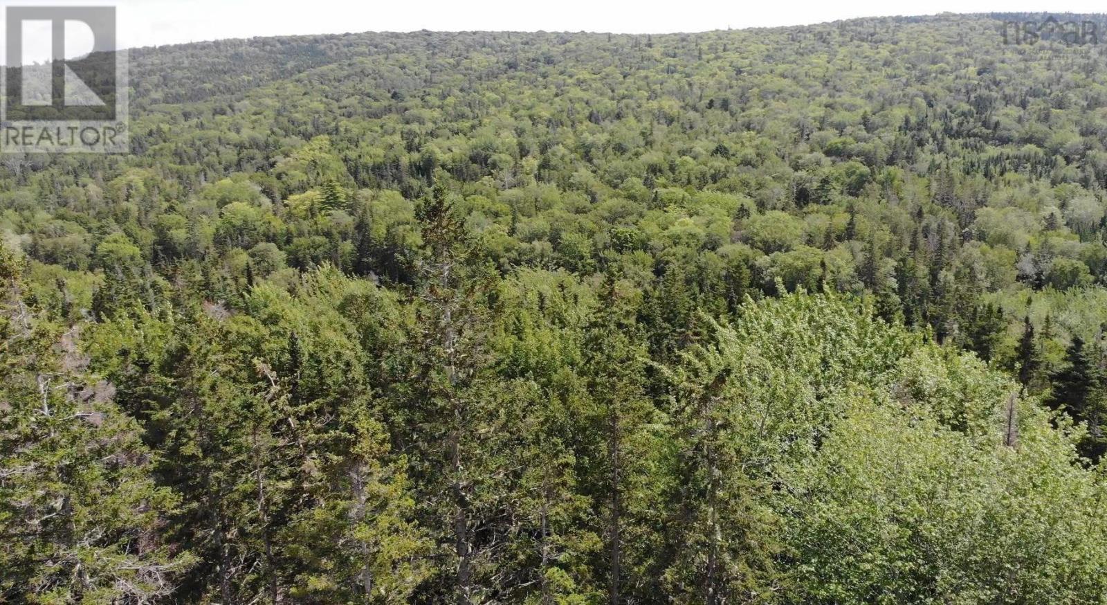 46 Acres Washabuck Road Property Photo 7