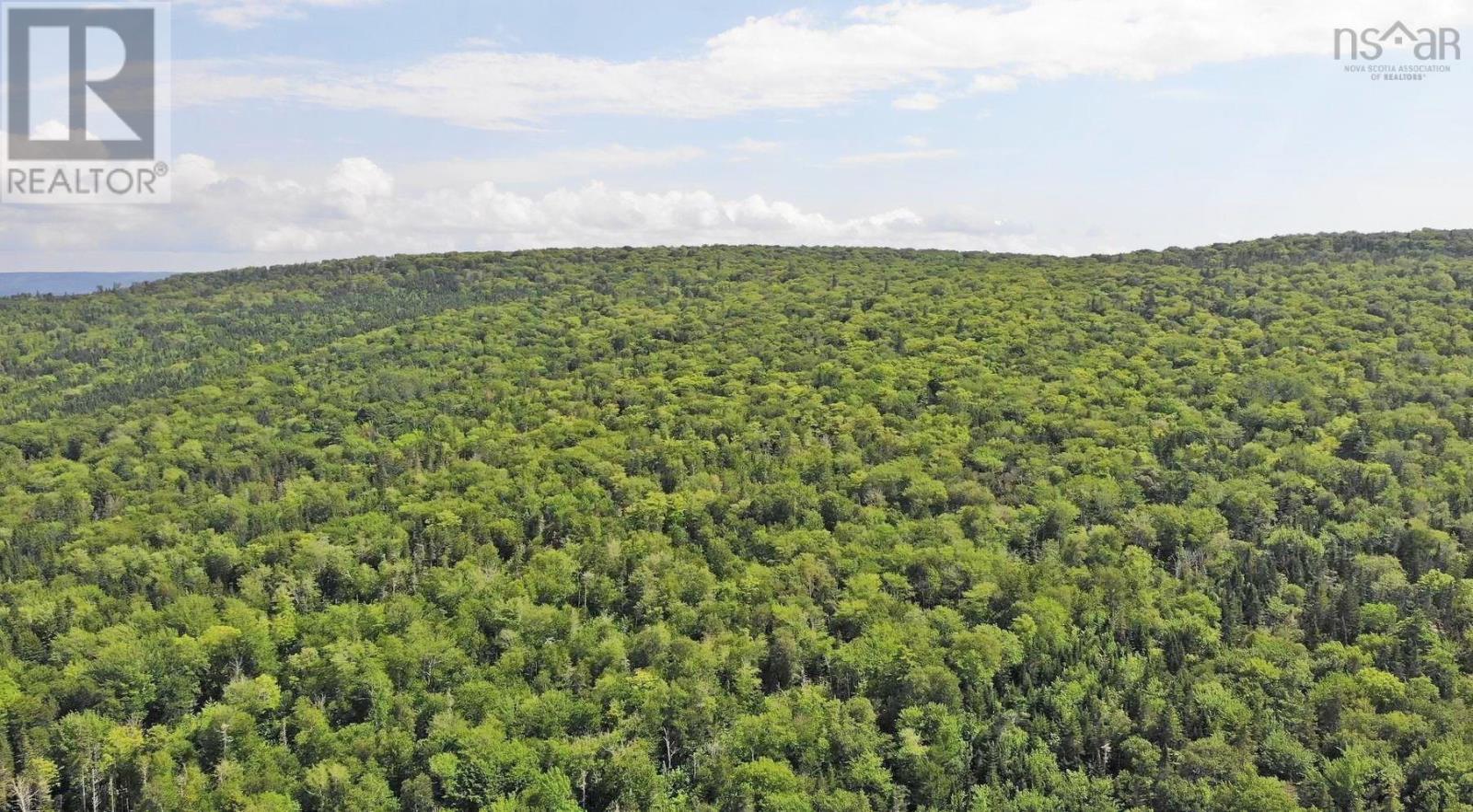46 Acres Washabuck Road Property Photo 8