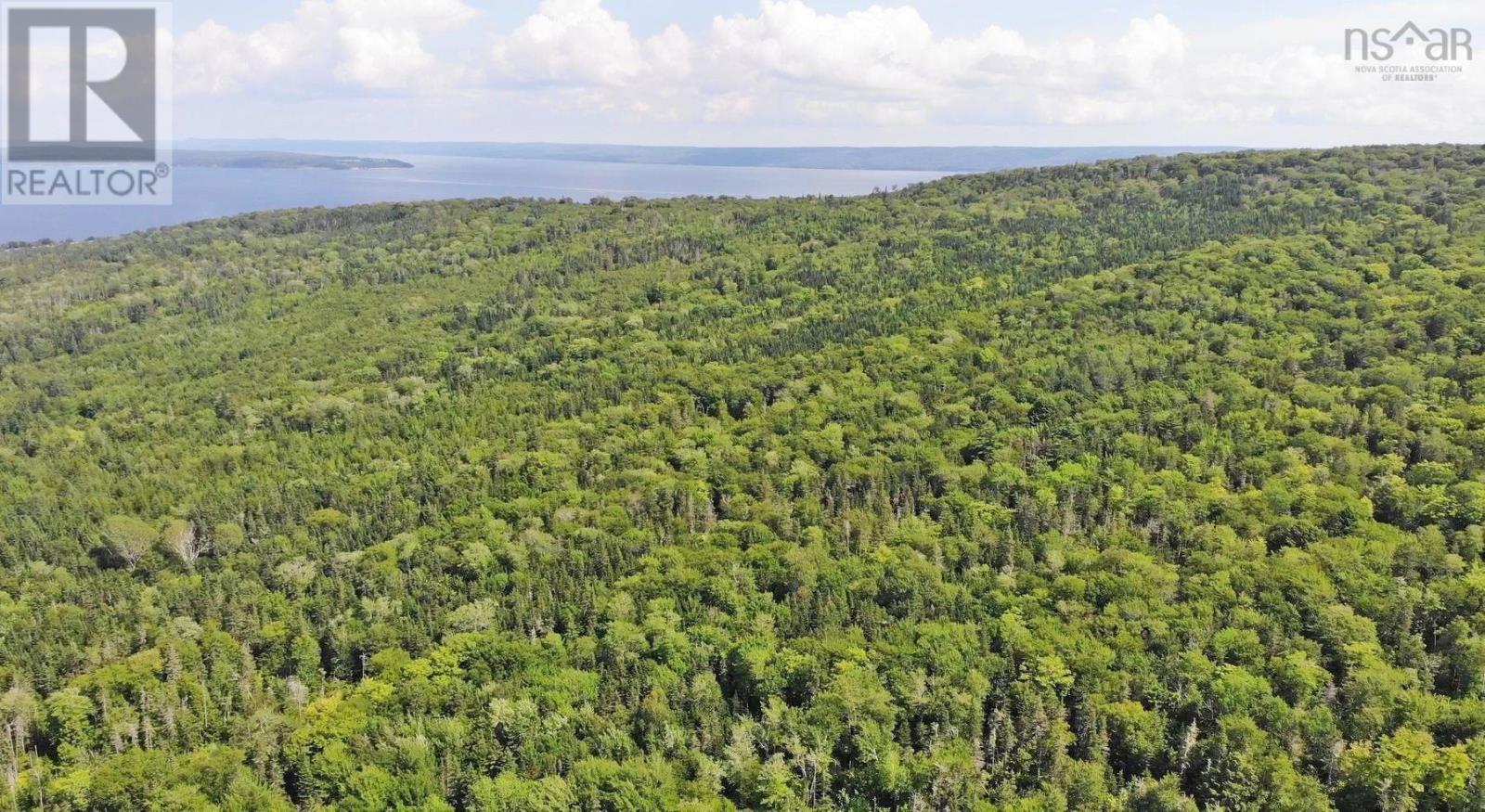 46 Acres Washabuck Road Property Photo 10