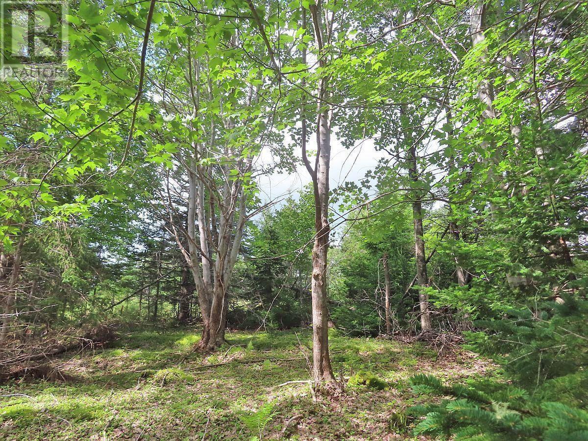 46 Acres Washabuck Road Property Photo 16