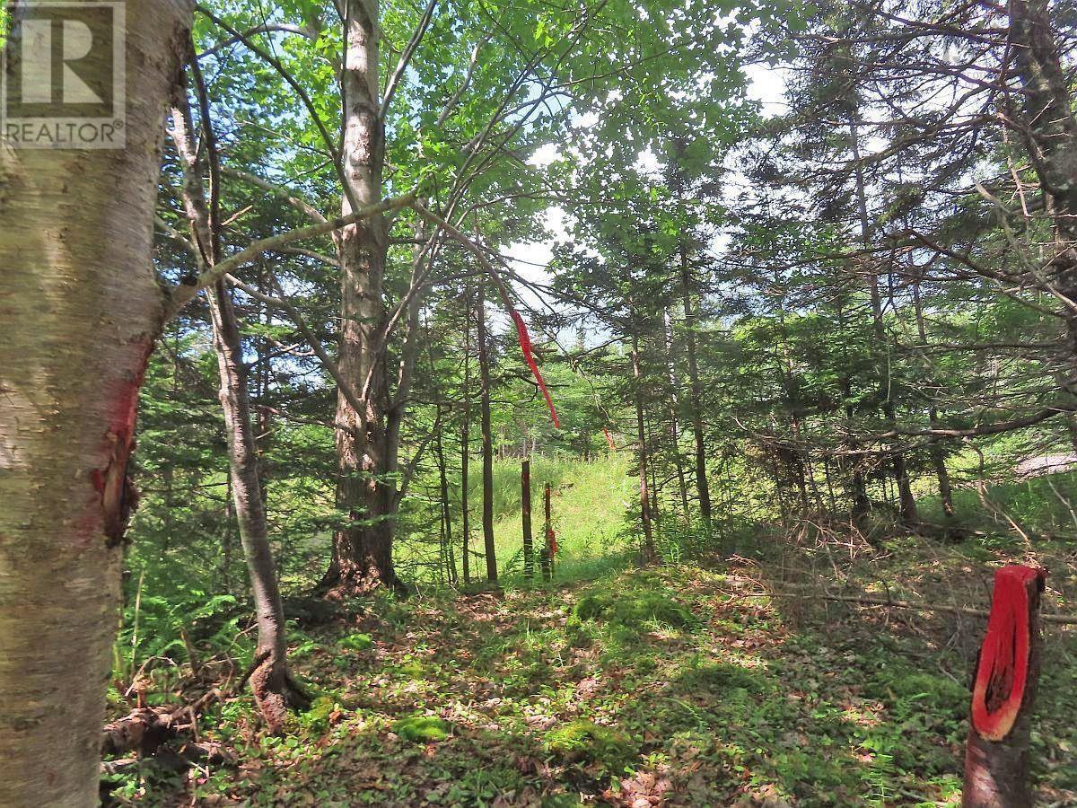 46 Acres Washabuck Road Property Photo 18
