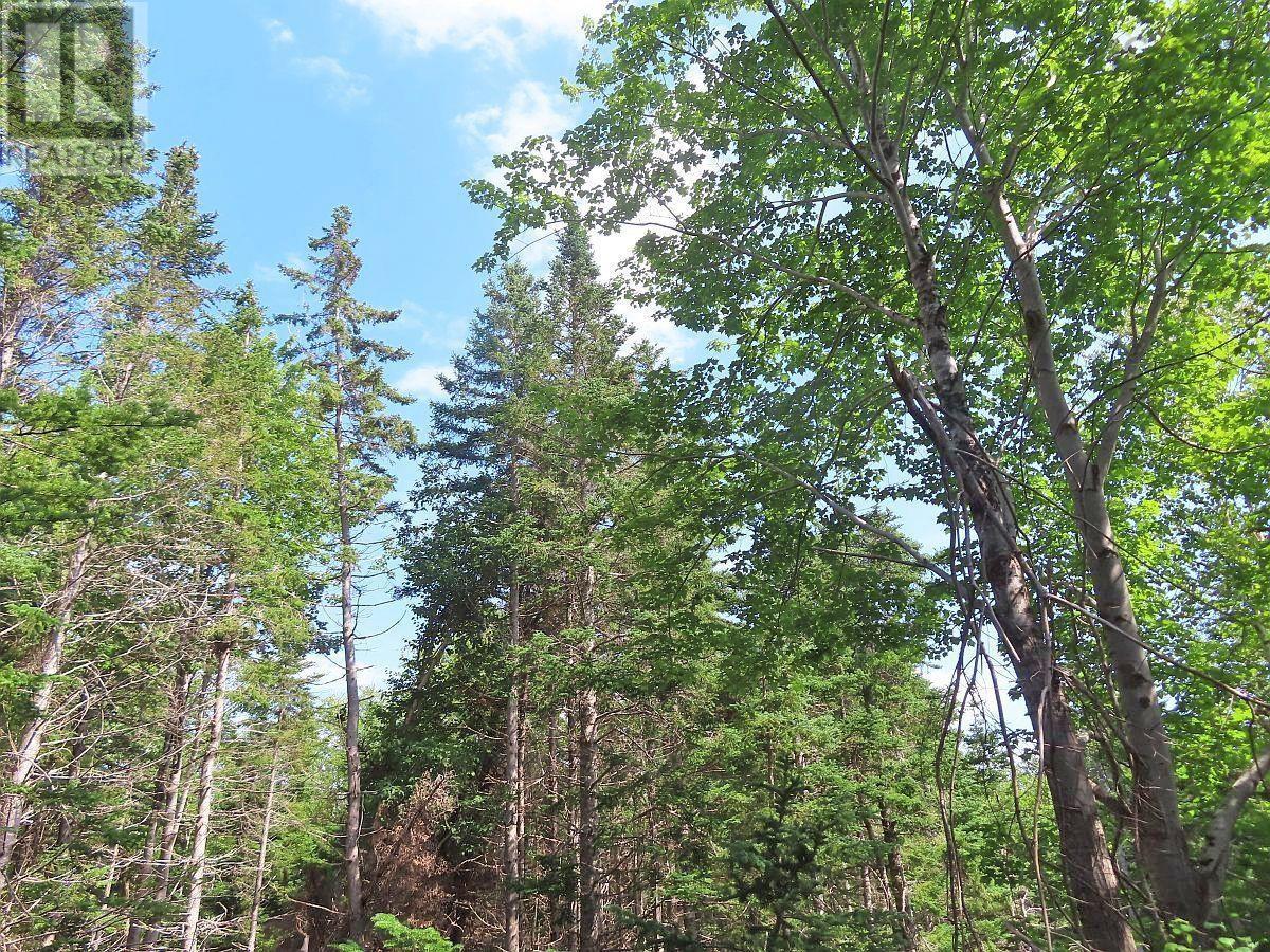 46 Acres Washabuck Road Property Photo 20
