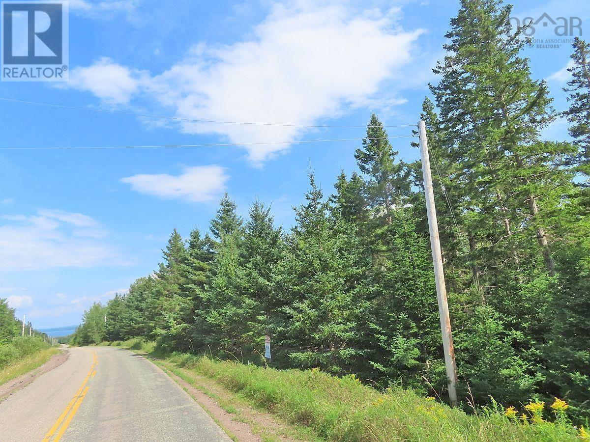 46 Acres Washabuck Road Property Photo 22