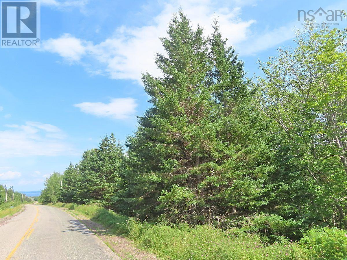 46 Acres Washabuck Road Property Photo 23