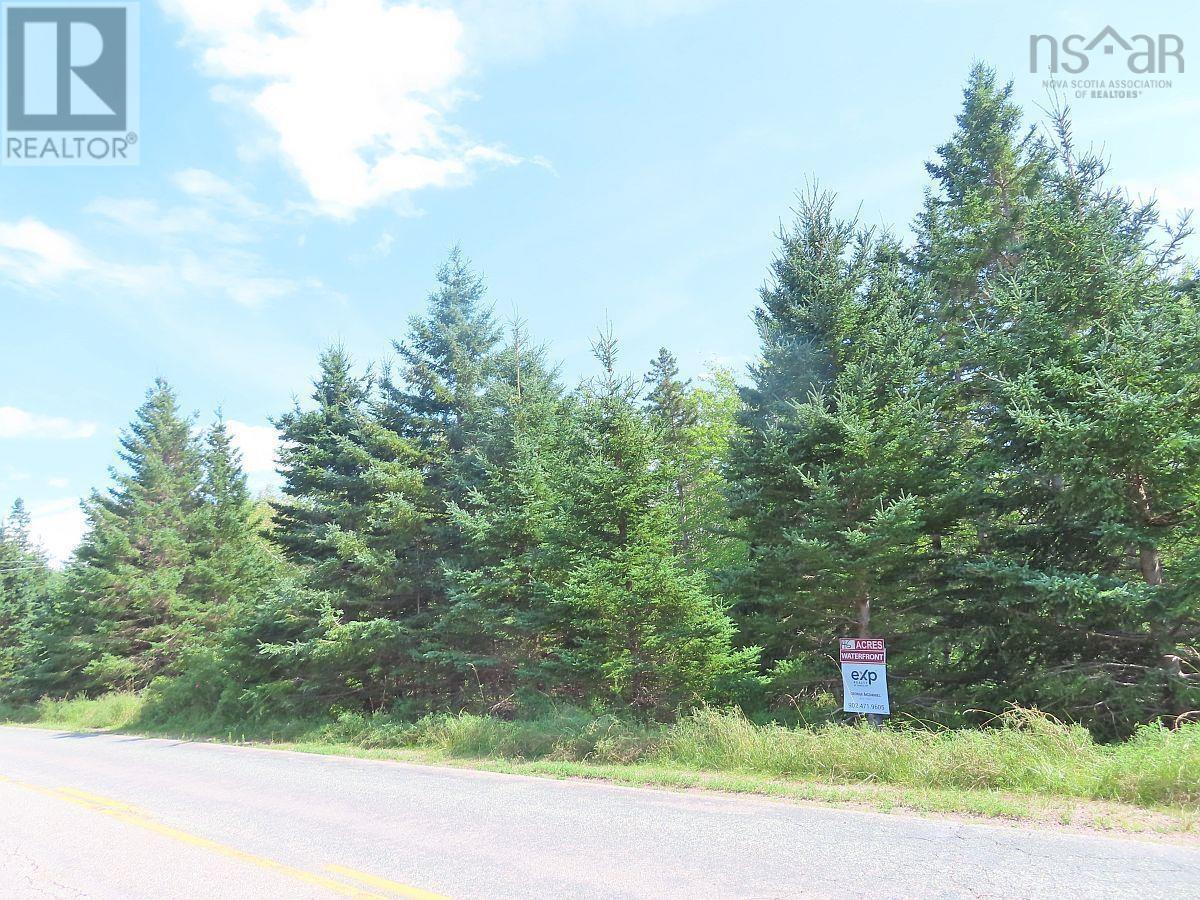 46 Acres Washabuck Road Property Photo 24