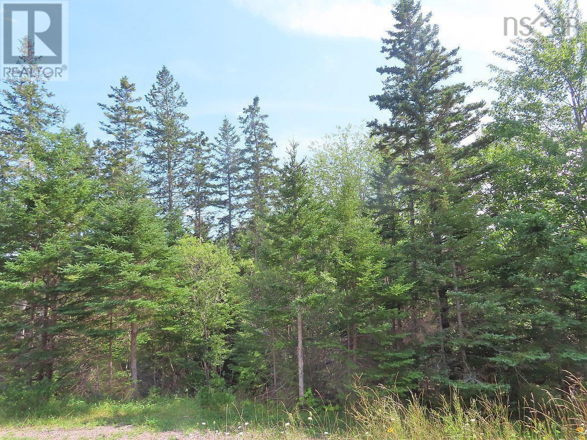 46 Acres Washabuck Road Property Photo 25