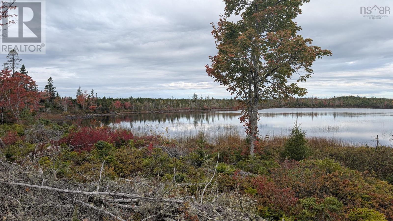 A, B, C Abrahams Lake Lane Property Photo 6