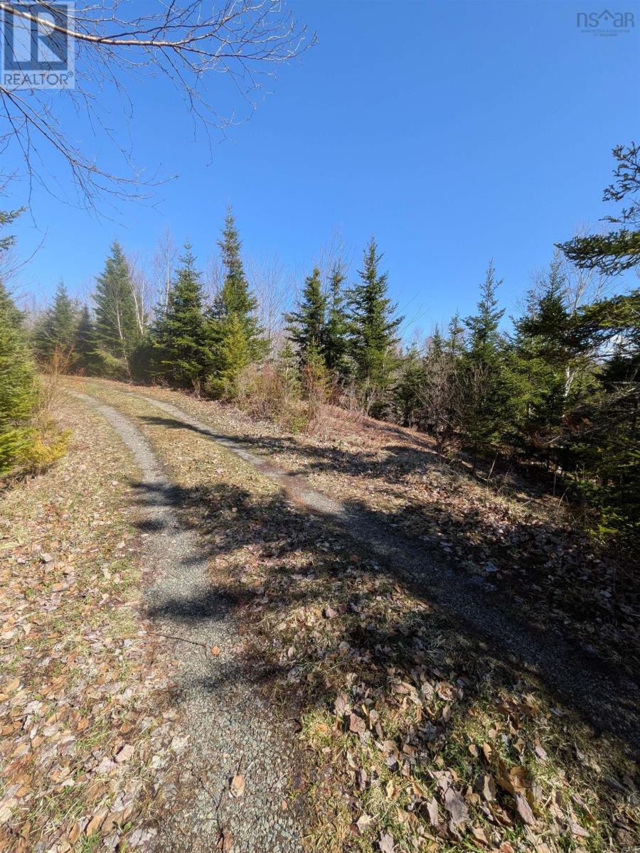 1223 Highway 223 Property Photo 24