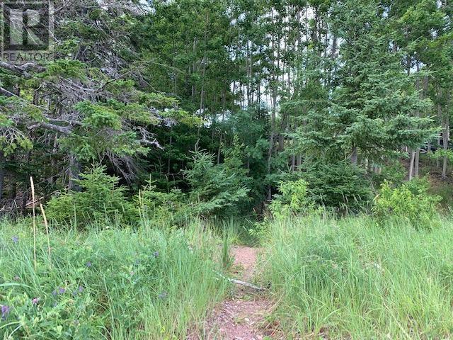 Lot 5-21 Cabot Trail Road Property Photo 18