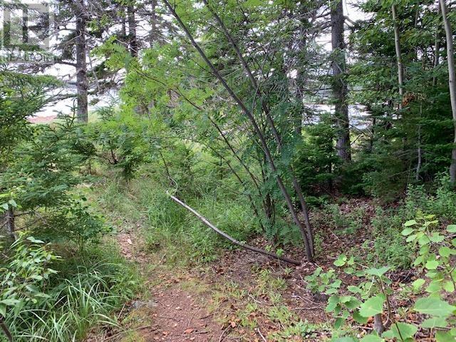 Lot 5-21 Cabot Trail Road Property Photo 24
