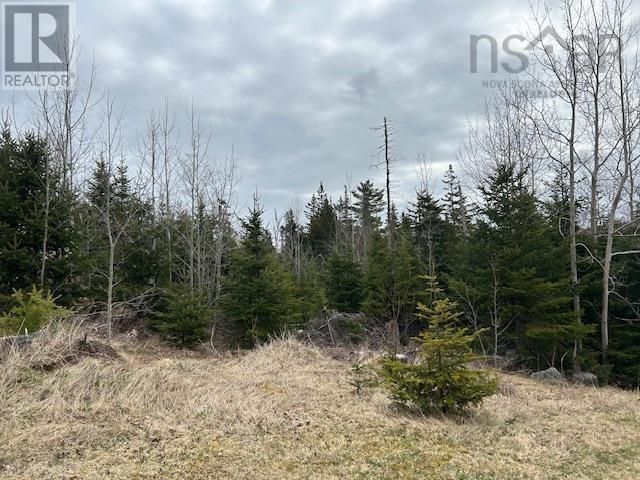 Lot 5-21 Cabot Trail Road Property Photo 30