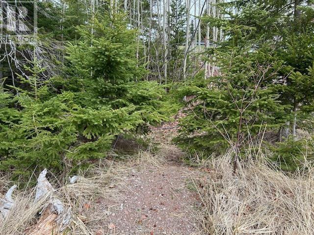 Lot 5-21 Cabot Trail Road Property Photo 34