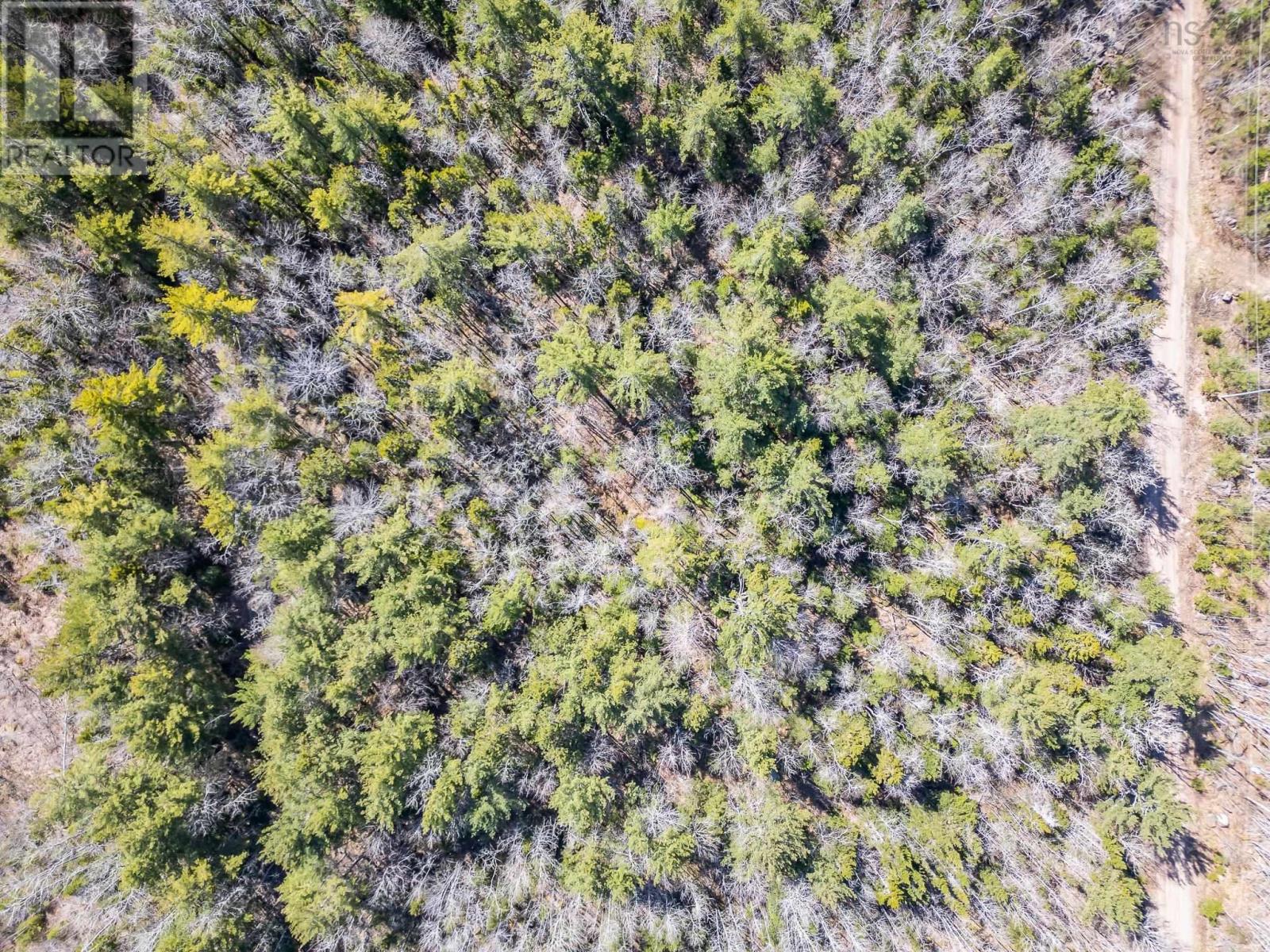 Lot 77 Waterloo Avenue Property Photo 6