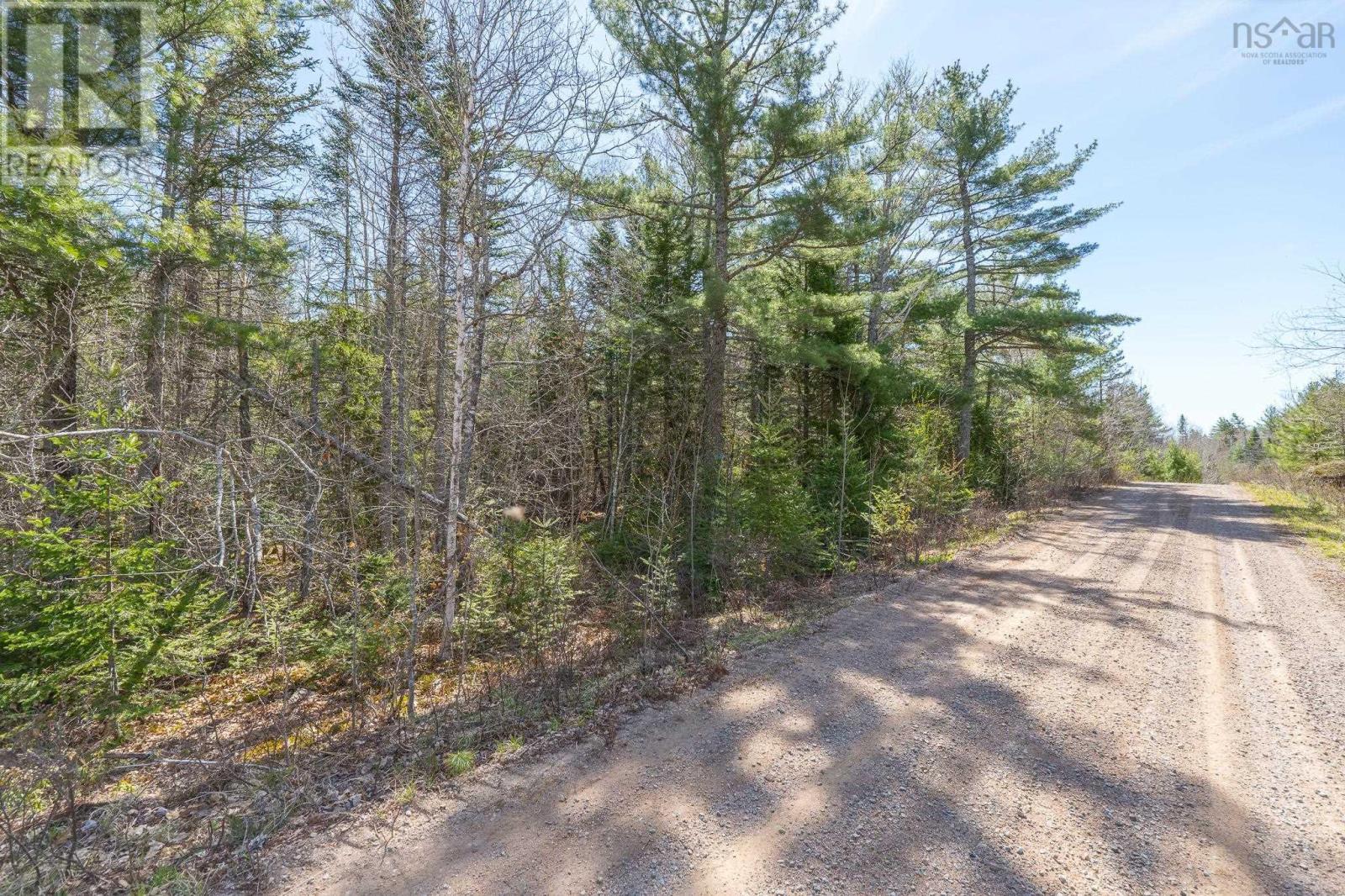 Lot 77 Waterloo Avenue Property Photo 7