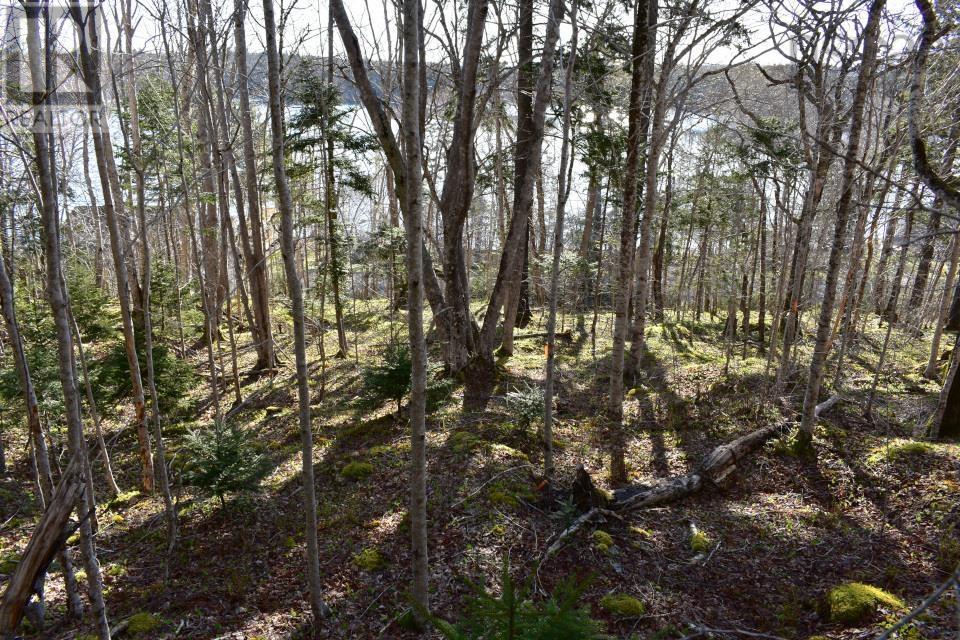 Lot 1&2, Mood Road Property Photo 9