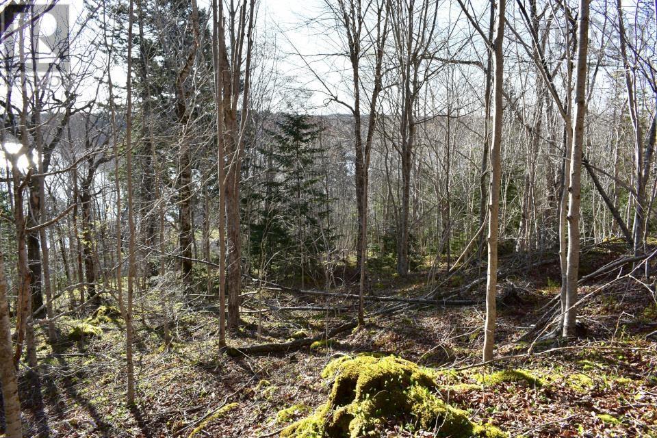 Lot 1&2, Mood Road Property Photo 10