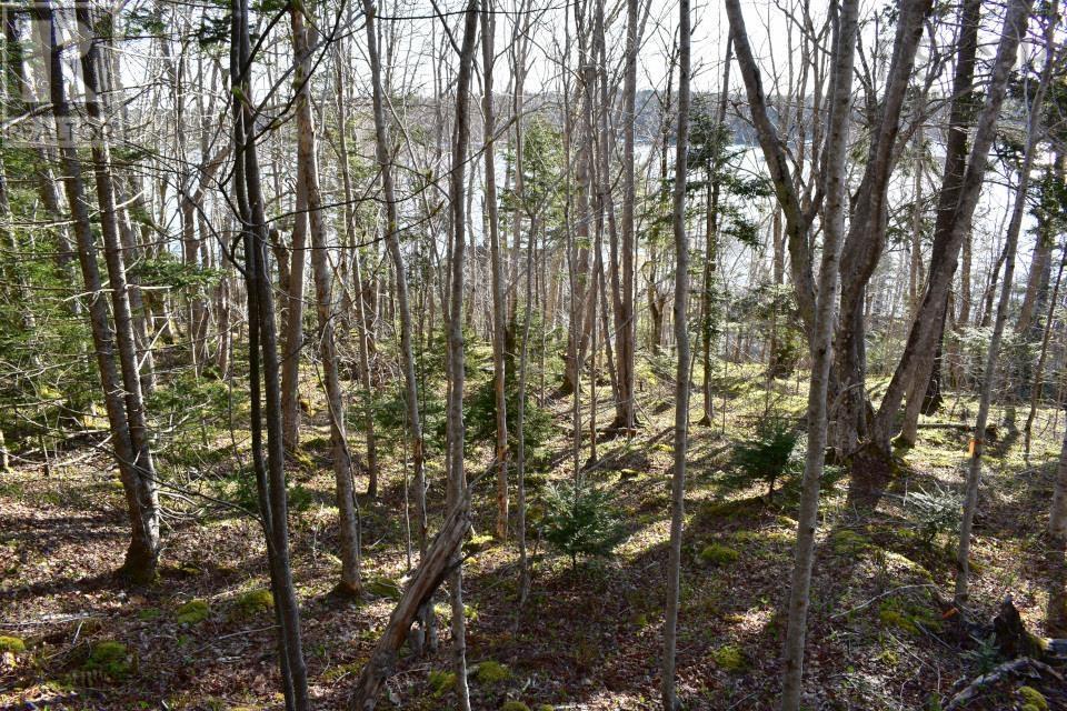 Lot 1&2, Mood Road Property Photo 11