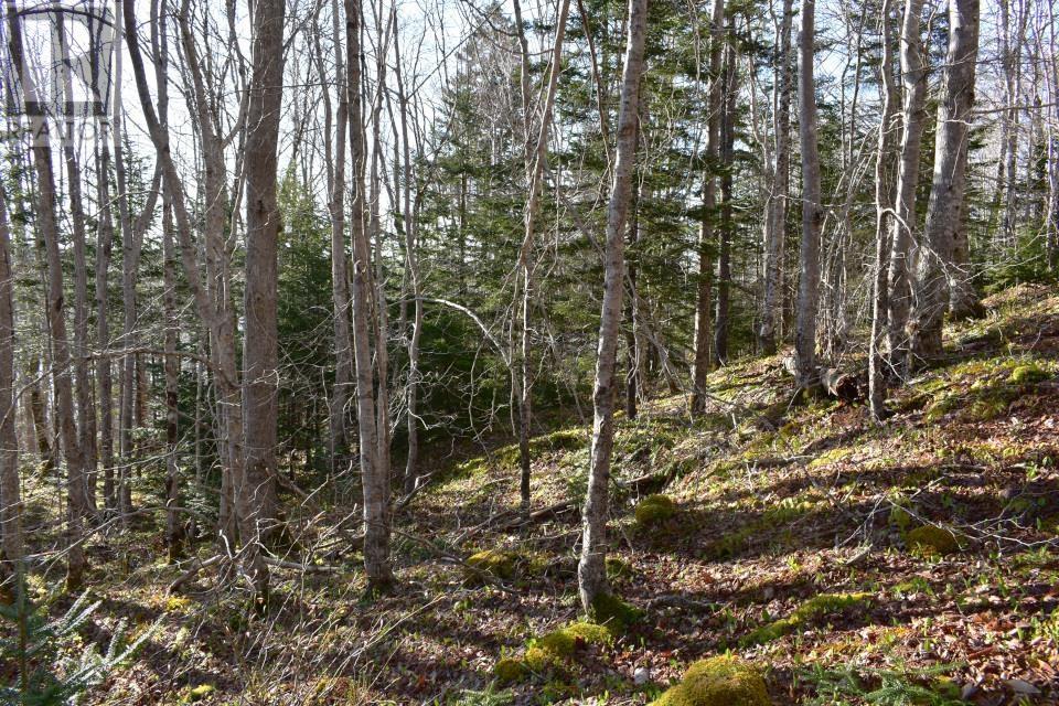 Lot 1&2, Mood Road Property Photo 12