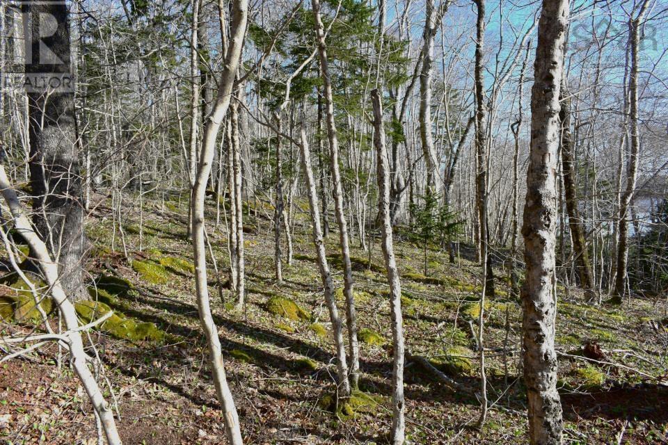Lot 1&2, Mood Road Property Photo 14