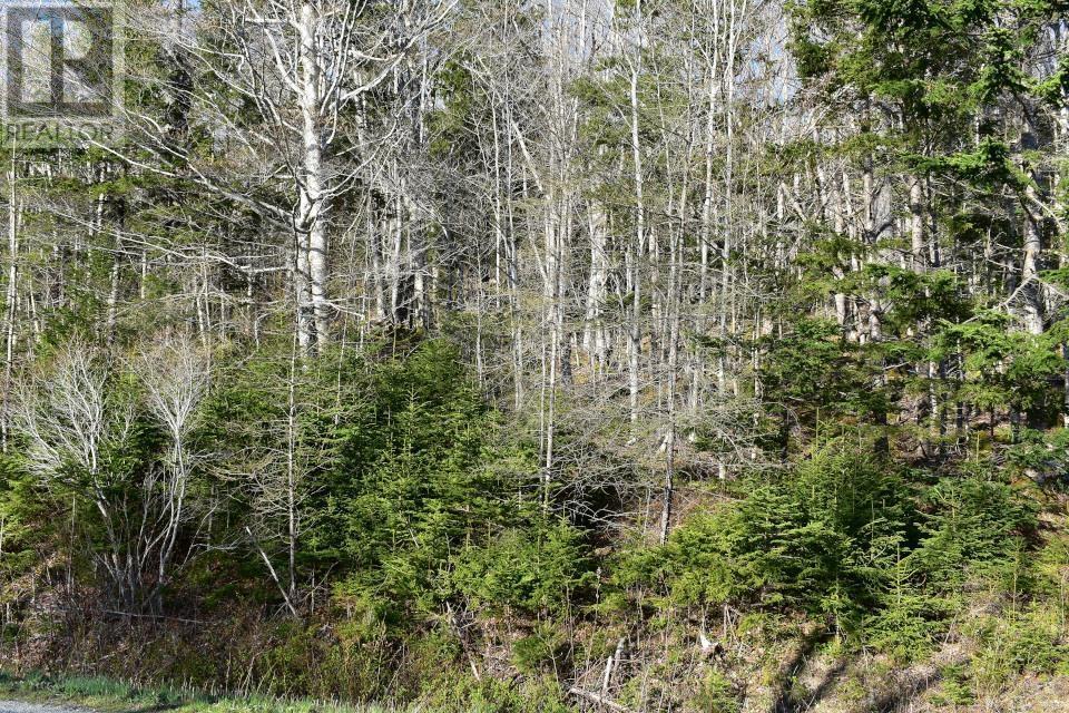 Lot 1&2, Mood Road Property Photo 15