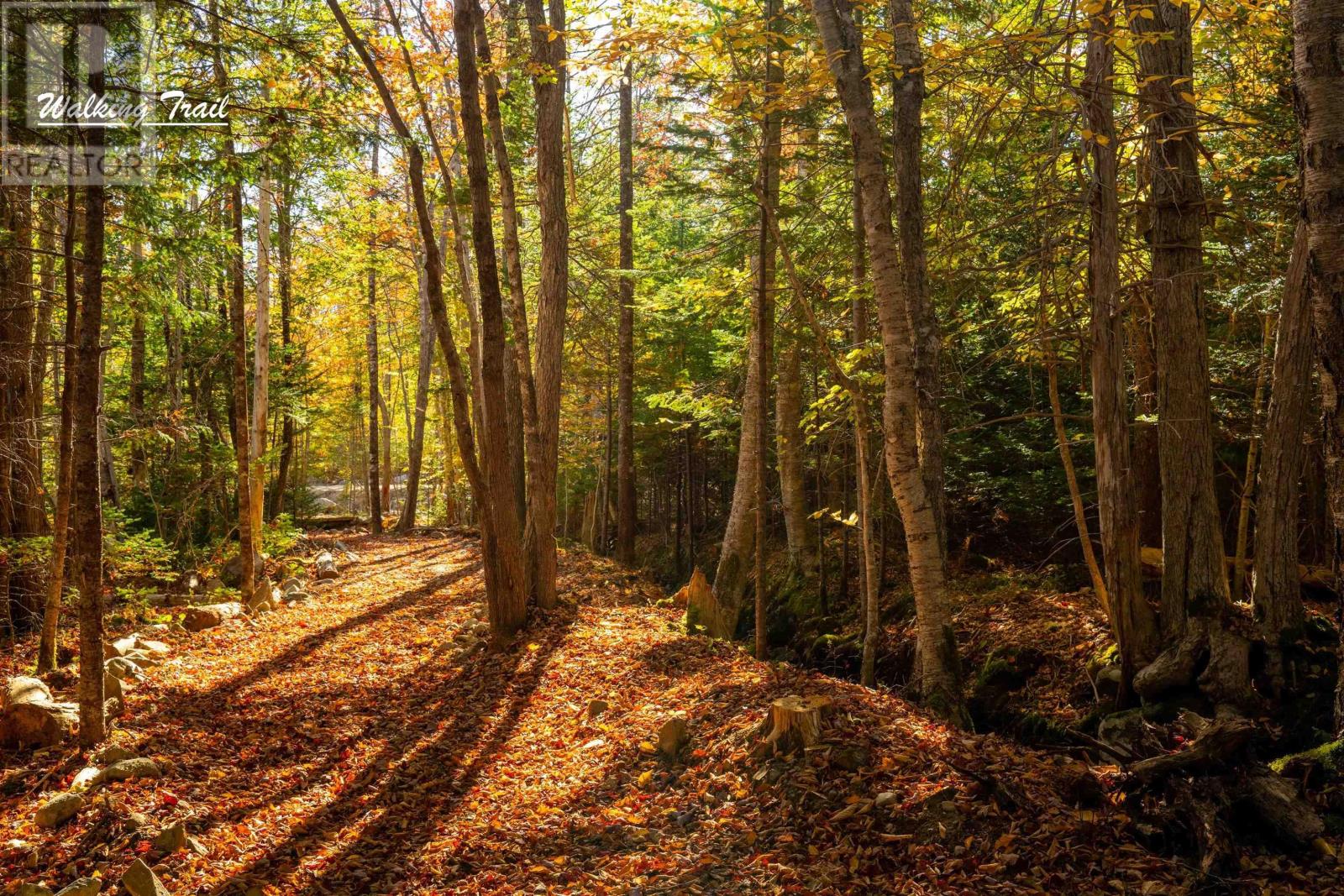 Lot 4 Whitetail Drive Property Photo 16