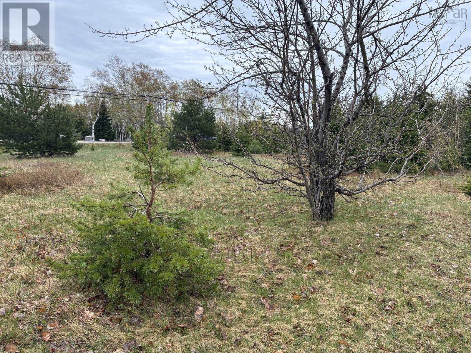 Cabot Trail Property Photo 2