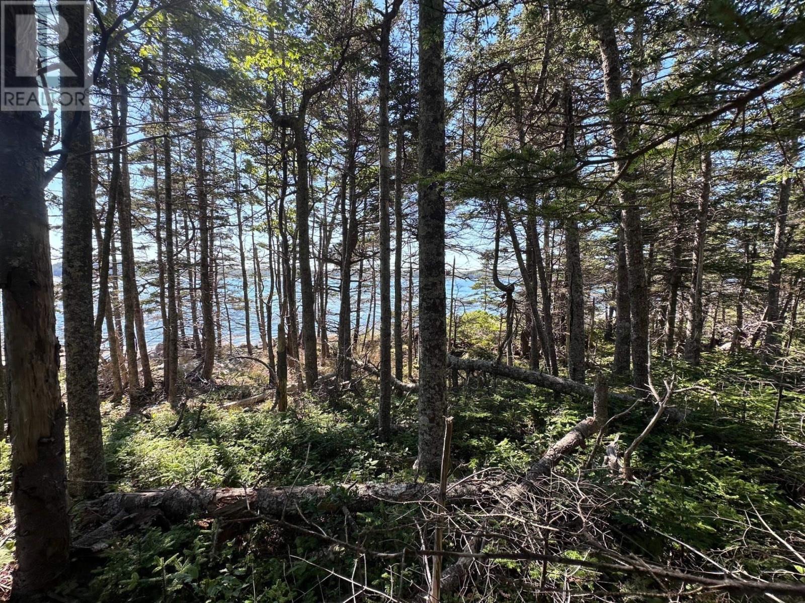 Lot 3 Stewarts Point Road Property Photo 4