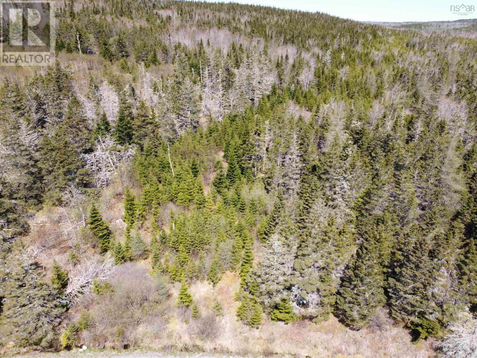 Cemetery Road Property Photo 4