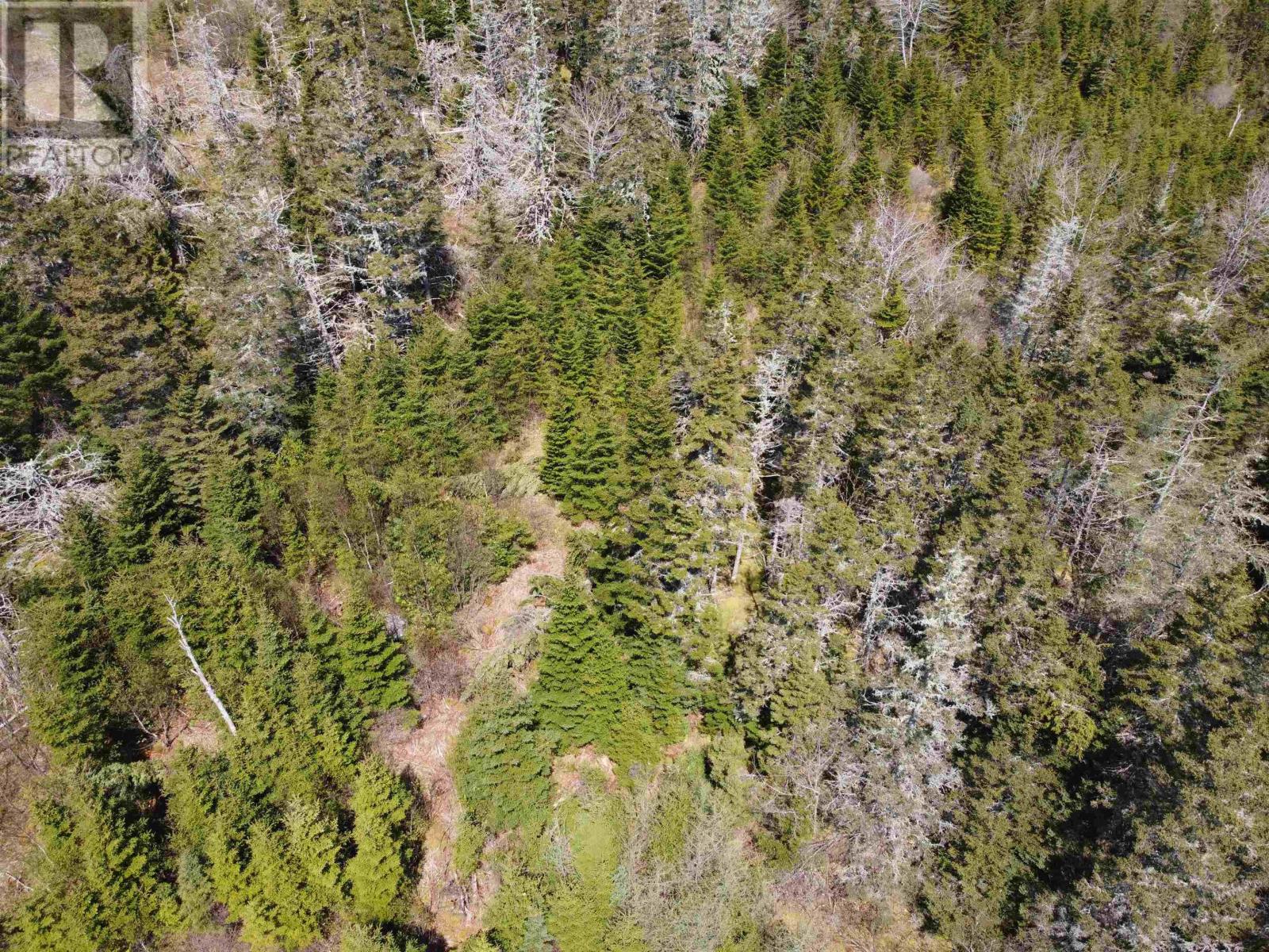 Cemetery Road Property Photo 6