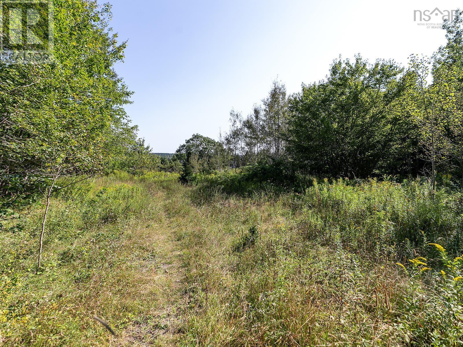 293 Hillside Drive Property Photo 4