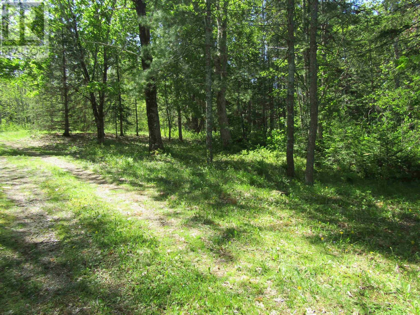 70 Sefferns Lake Drive Property Photo 11