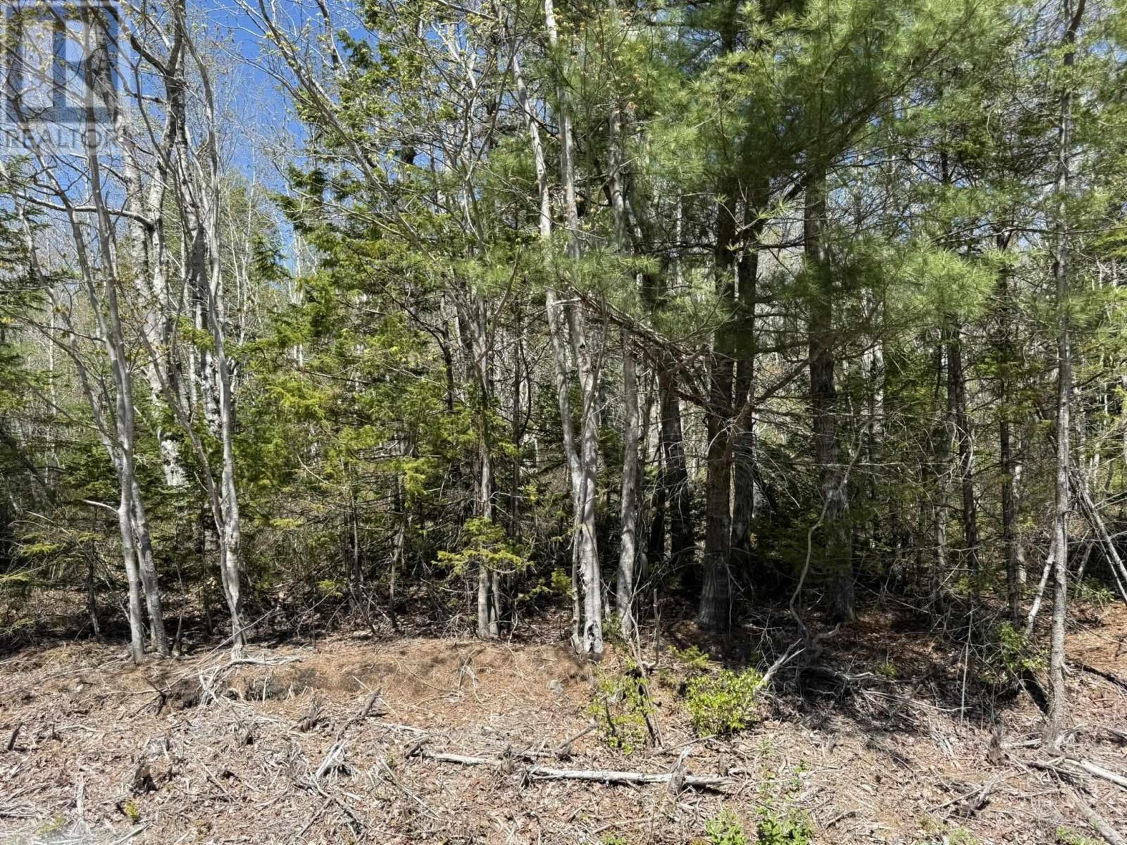 Lot 1-a Gavel Road Property Photo 4