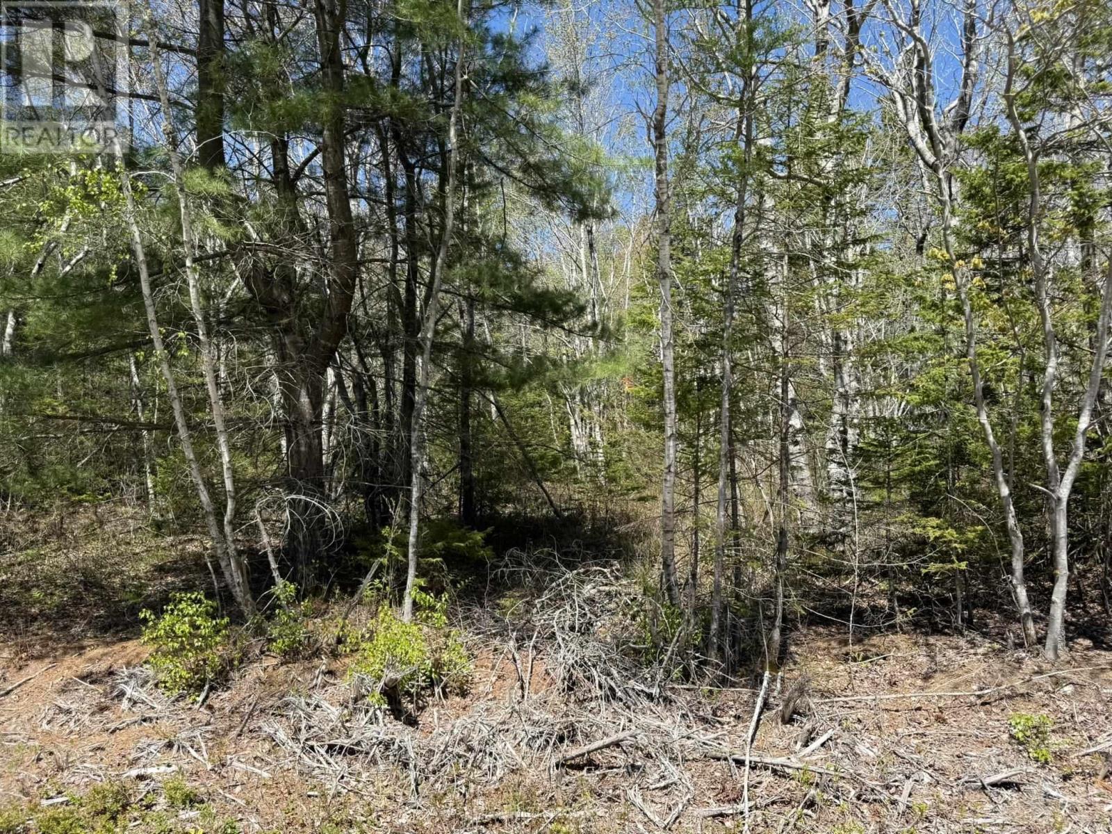 Lot 1-a Gavel Road Property Photo 5