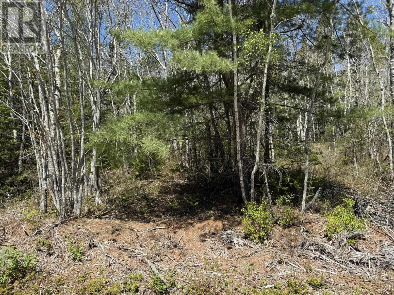 Lot 1-a Gavel Road Property Photo 6