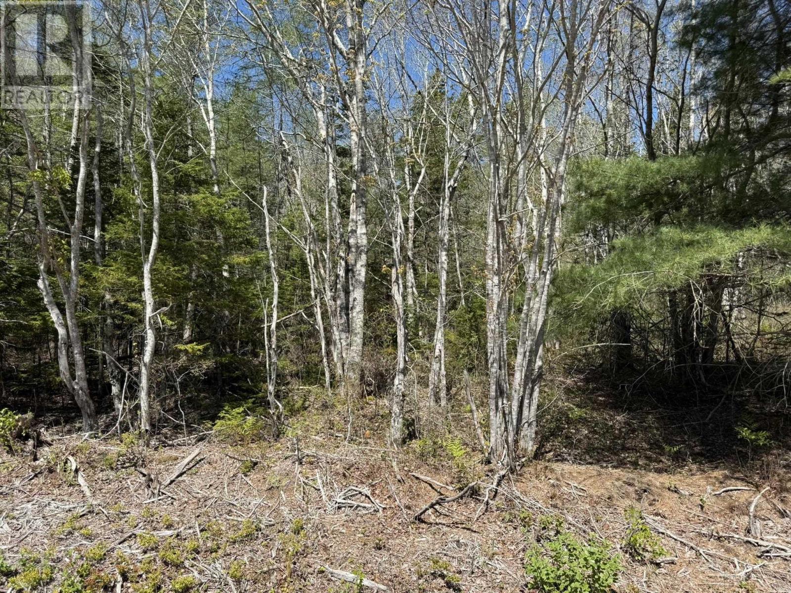 Lot 1-a Gavel Road Property Photo 7