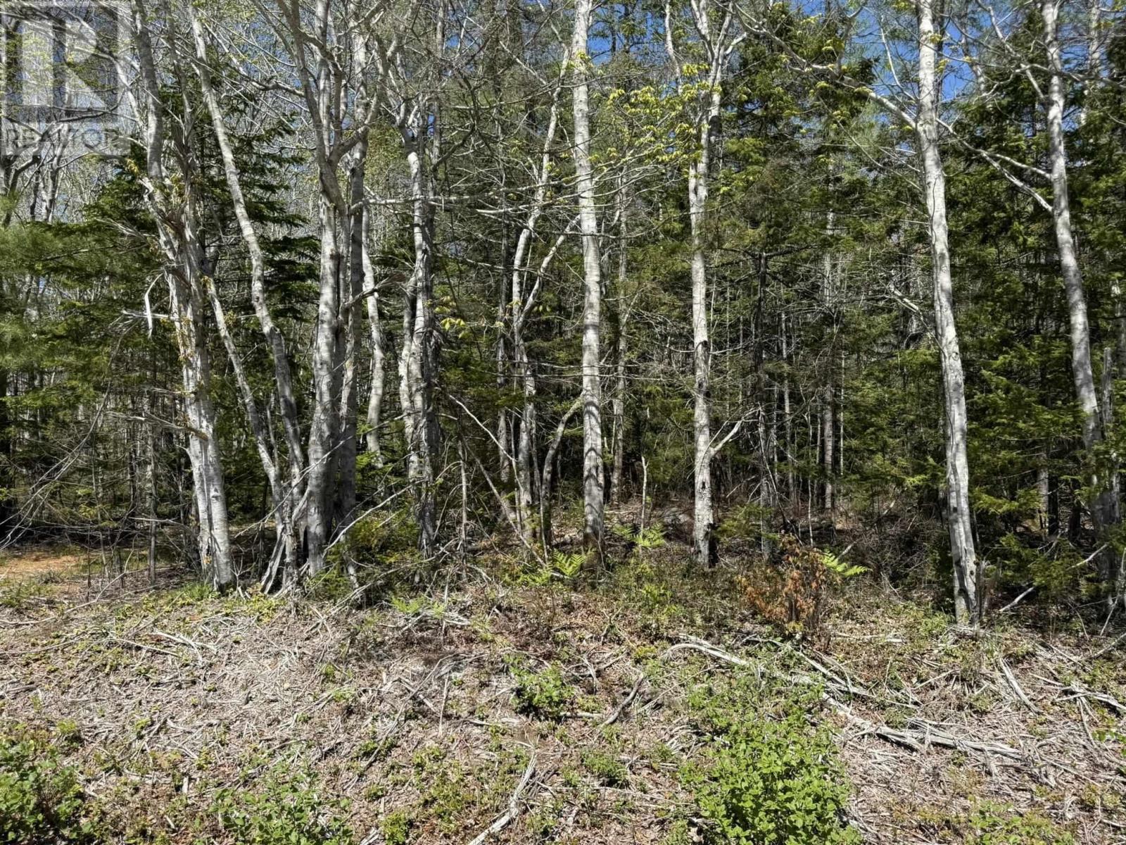 Lot 1-a Gavel Road Property Photo 8