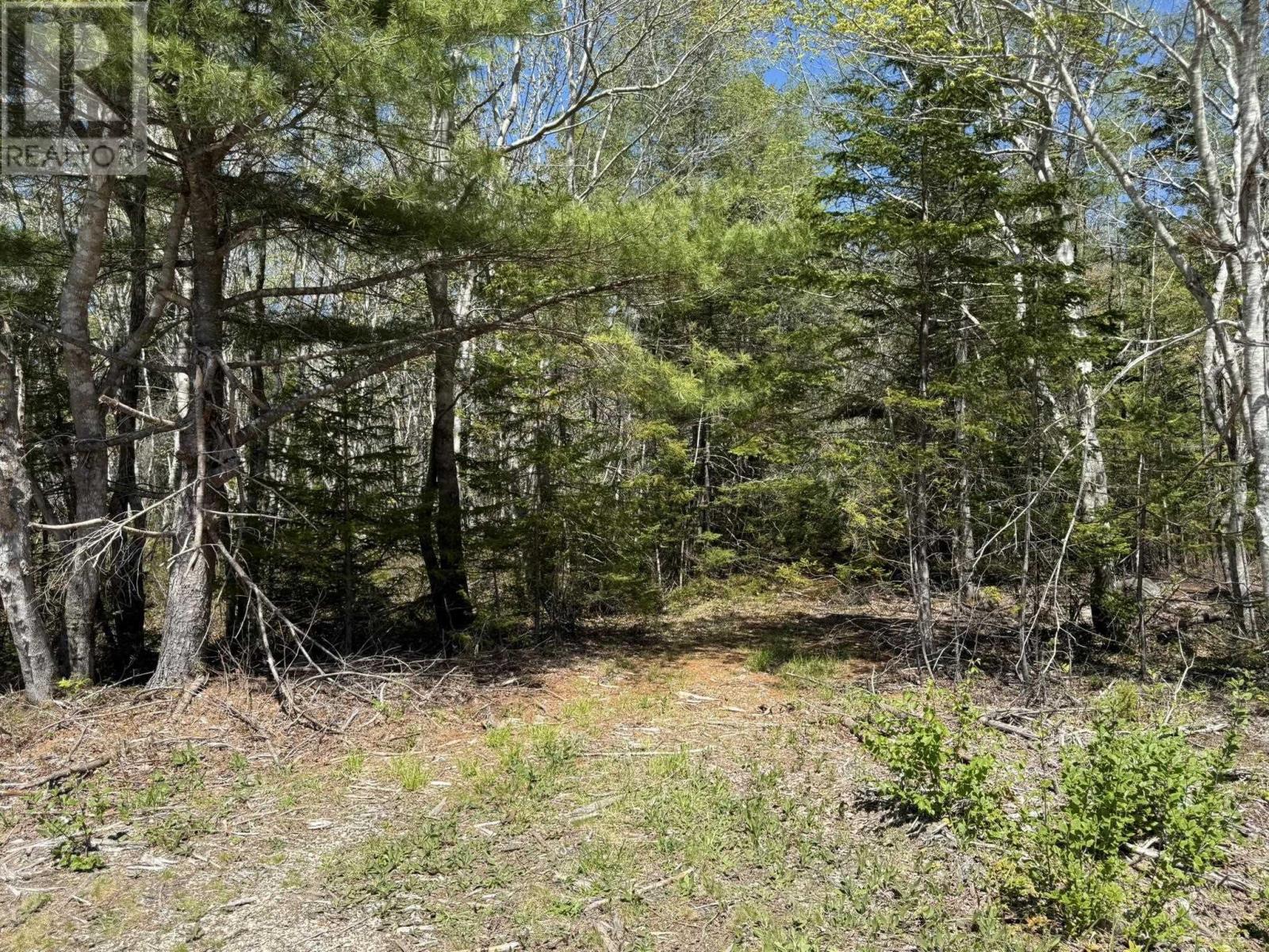 Lot 1-a Gavel Road Property Photo 11
