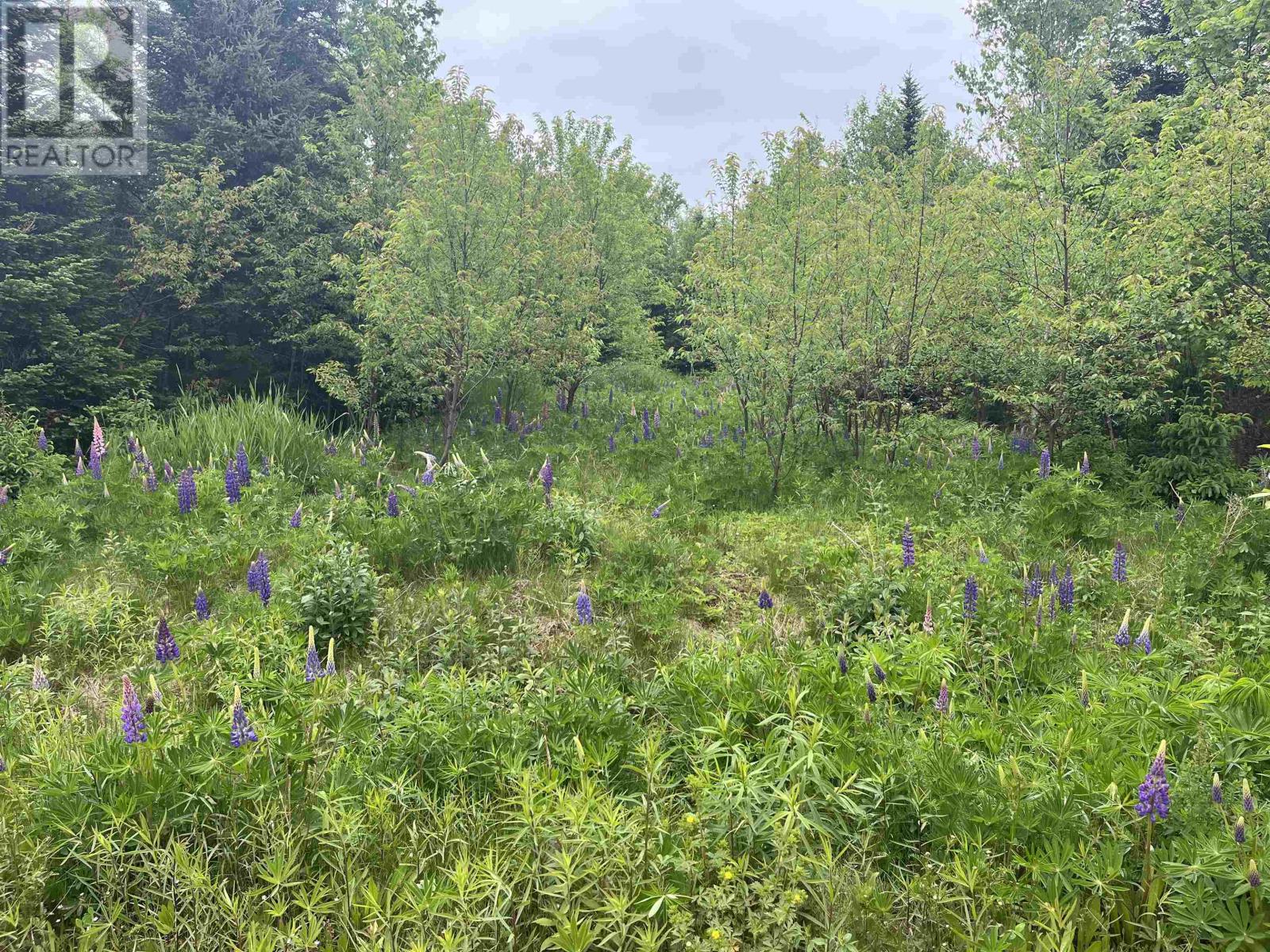 0 Driftwood Lane Property Photo 1